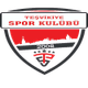 特斯维基亚  logo