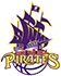 西南新城海盗女篮 logo