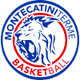 蒙特卡蒂米特 logo