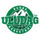 布尔萨女篮 logo