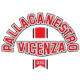 安联维琴察 logo