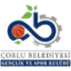 乔尔卢贝莱迪耶西  logo