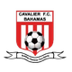 卡瓦立尔 logo