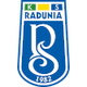 拉杜尼亚河  logo