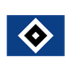 汉堡U17 logo