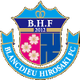 布兰迪厄广崎 logo