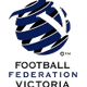 南部足球中心女足  logo