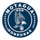 摩塔瓜后备  logo
