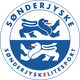 桑德捷斯基  logo