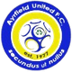 艾尔菲尔德联合  logo