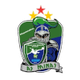 米纳斯女足  logo