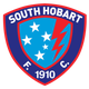 南霍巴特女足  logo