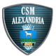 亚历山德里亚 logo