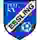 SV埃斯林  logo