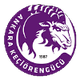 凯西奥伦古库U19 logo