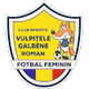 加尔宾女足 logo