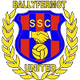 巴拉亚联  logo