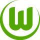 沃尔夫斯堡U17  logo