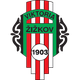 济斯科夫  logo