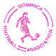 多米尼克U20  logo