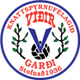 维迪尔 logo