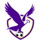 布伦达拉鹰  logo