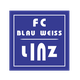 BW林茨  logo