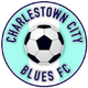 查尔斯顿女足 logo