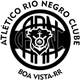 里约热内格罗RR logo