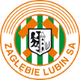 卢宾扎格勒比B队  logo