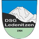 DSG莱德恩尼泽 logo