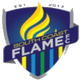 南海岸火焰  logo