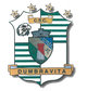 达姆布雷维塔U19  logo