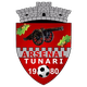 图纳里U19 logo
