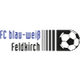 BW费尔德基希 logo