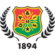 哥德堡大力士U19 logo