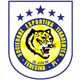 提拉登提斯PI女足  logo