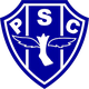 佩桑杜女足 logo