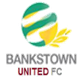 班克斯联队 logo