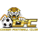 古玛老虎 logo